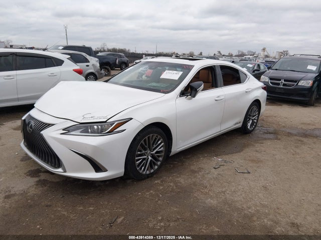 43914389 :رقم المزاد ، 58ABZ1B1XKU044677 vin ، 2019 Lexus Es 350 مزاد بيع
