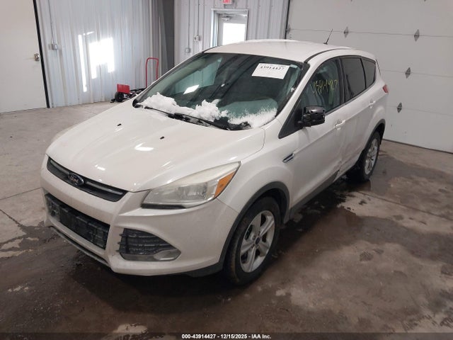 Ford ESCAPE SE 2015 1FMCU9G99FUB46503 Image 2