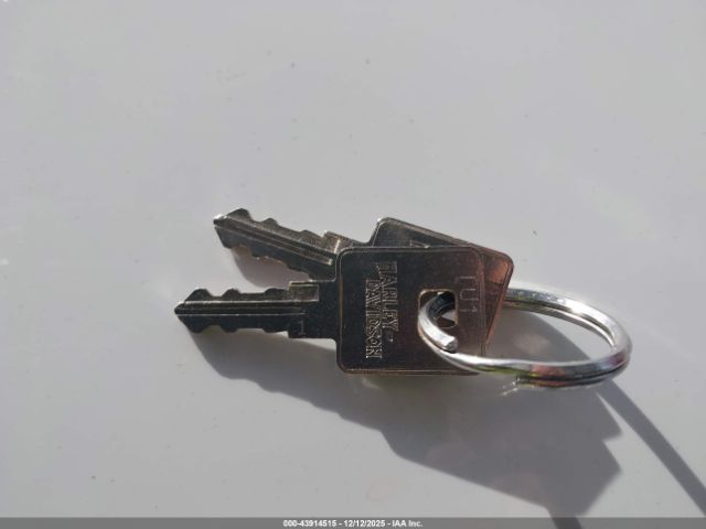 2007 HARLEY-DAVIDSON XL1200 1HD1CT3157K447177 Photo 10