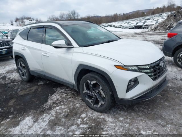 2023 HYUNDAI TUCSON HYBRID KM8JECA12PU120430