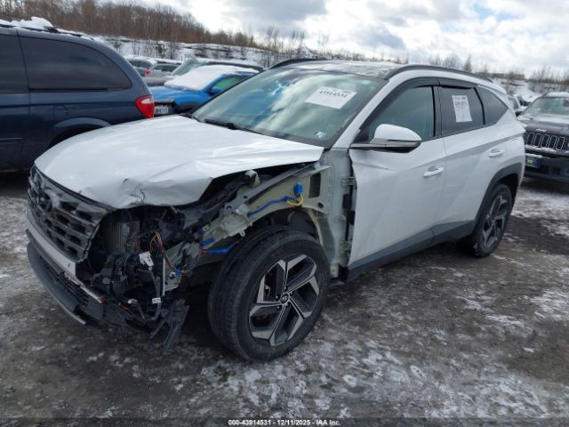 2023 HYUNDAI TUCSON HYBRID KM8JECA12PU120430 Photo 1