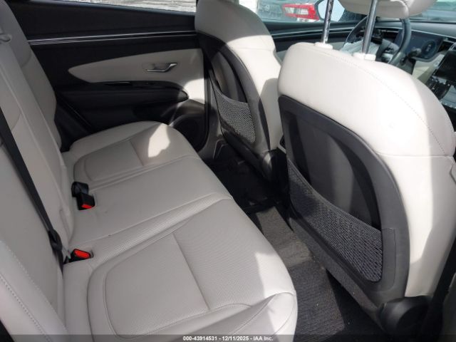 2023 HYUNDAI TUCSON HYBRID KM8JECA12PU120430 Photo 7