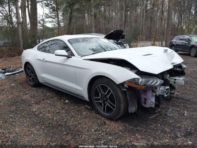 2023 FORD MUSTANG 1FA6P8TH9P5108030