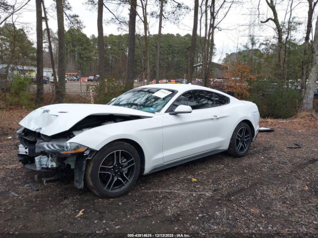 2023 FORD MUSTANG 1FA6P8TH9P5108030 Photo 1