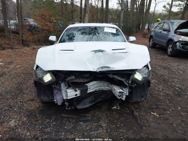 2023 FORD MUSTANG 1FA6P8TH9P5108030 Photo 5