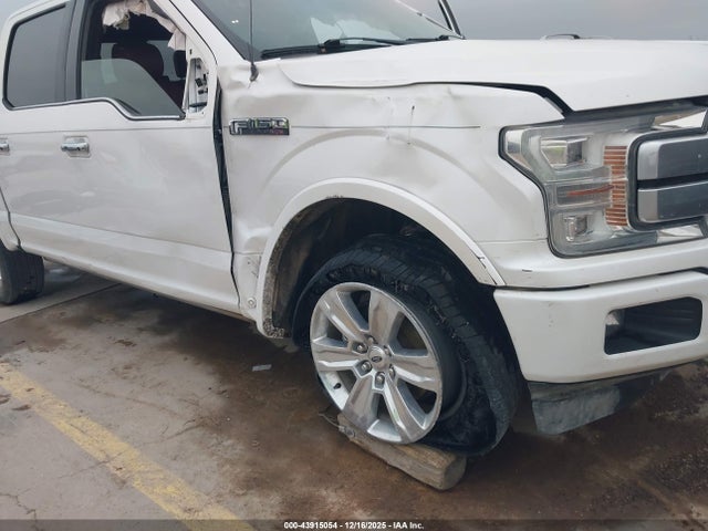 Ford F-150 Platinum 2019 1FTEW1E48KFB16911 Image 6