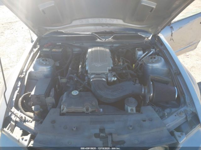 2009 FORD MUSTANG 1ZVHT82H895105605 Photo 9