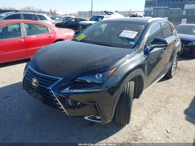 Продаж на аукціоні авто 2019 Lexus Nx 300, vin: JTJYARBZ0K2155216, номер лоту: 43915705