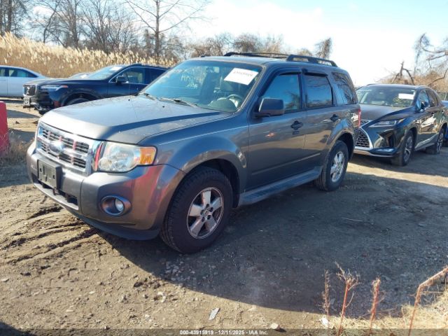 2009 FORD ESCAPE 1FMCU03799KC86292 Photo 1