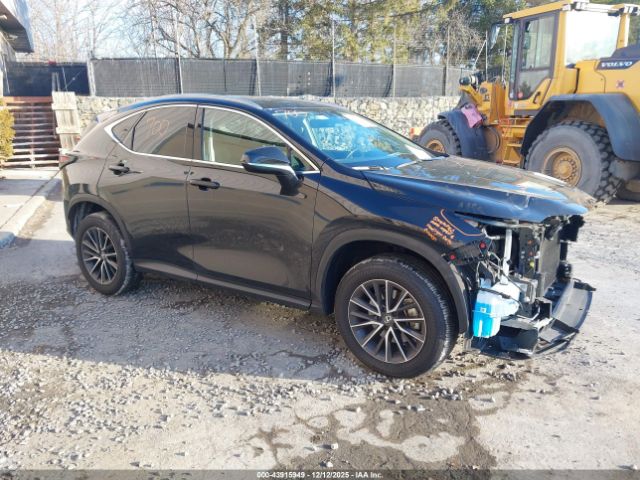 2024 LEXUS NX 250 2T2ADCEZ8RC005091