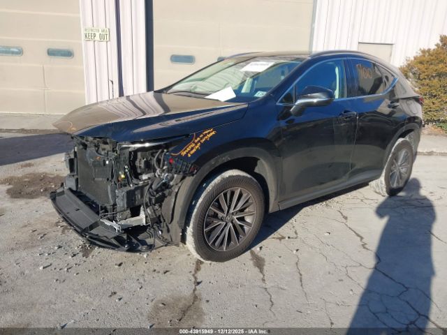 2024 LEXUS NX 250 2T2ADCEZ8RC005091 Photo 1