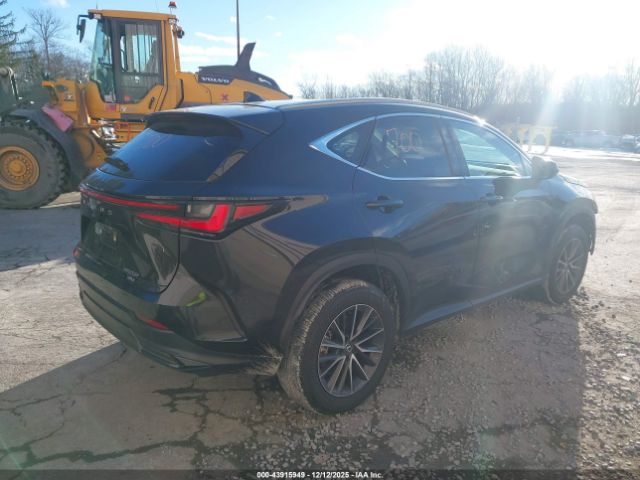 2024 LEXUS NX 250 2T2ADCEZ8RC005091 Photo 3