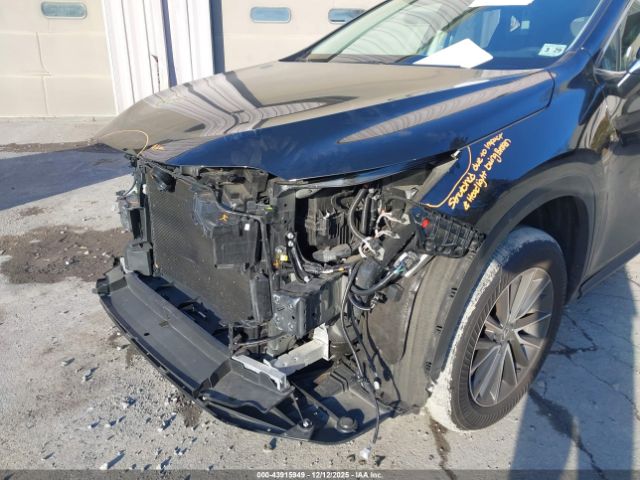 2024 LEXUS NX 250 2T2ADCEZ8RC005091 Photo 5