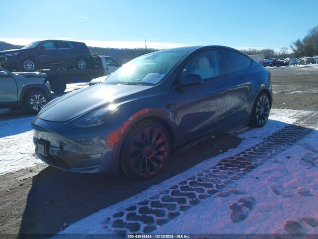 2023 TESLA MODEL Y 7SAYGDEF2PF909312 Photo 1