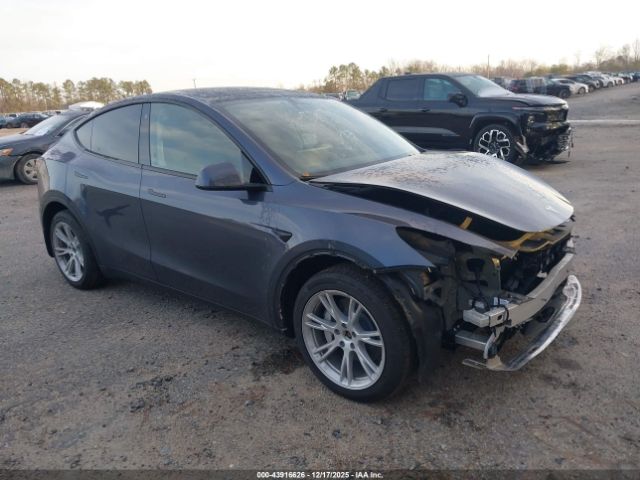 2023 TESLA MODEL Y 7SAYGDEE5PA125274
