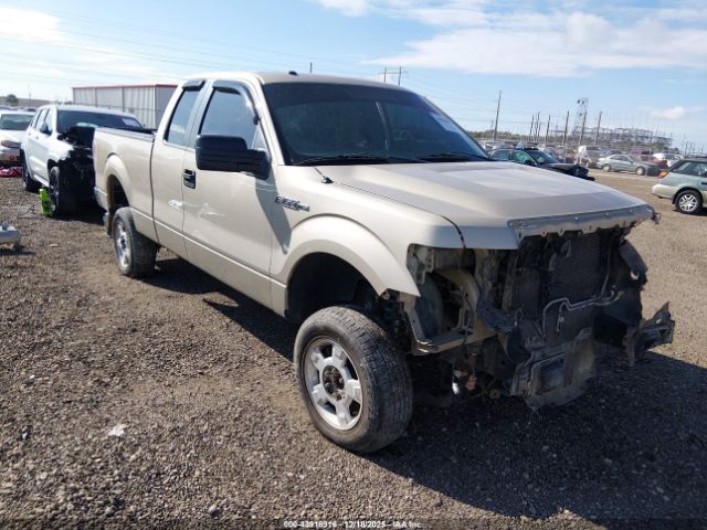 2010 FORD F-150 1FTEX1C8XAFB14613