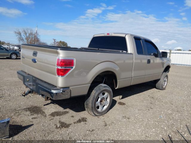 2010 FORD F-150 1FTEX1C8XAFB14613 Photo 3
