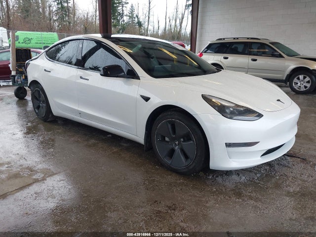 2023 TESLA MODEL 3 5YJ3E1EB5PF603407 Photo 0