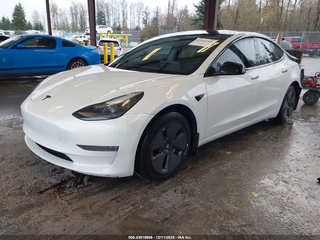 2023 TESLA MODEL 3 5YJ3E1EB5PF603407 Photo 1