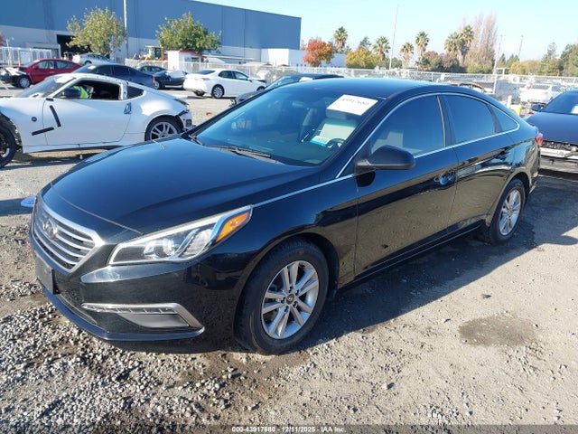 5NPE24AFXFH011626 Hyundai Sonata