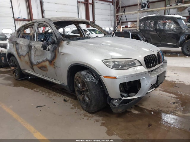 2013 BMW X6 5UXFG2C57DL782857