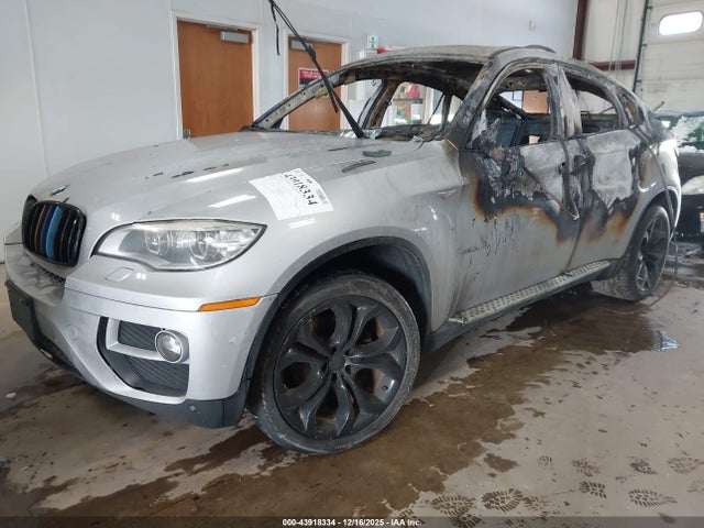 2013 BMW X6 5UXFG2C57DL782857 Photo 1