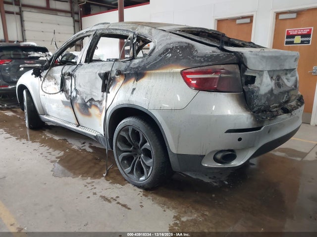 2013 BMW X6 5UXFG2C57DL782857 Photo 2