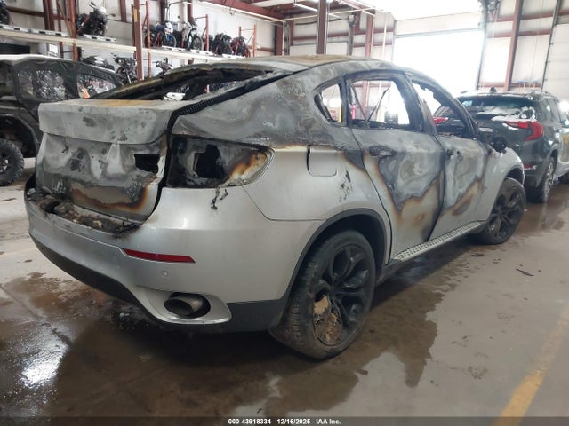 2013 BMW X6 5UXFG2C57DL782857 Photo 3