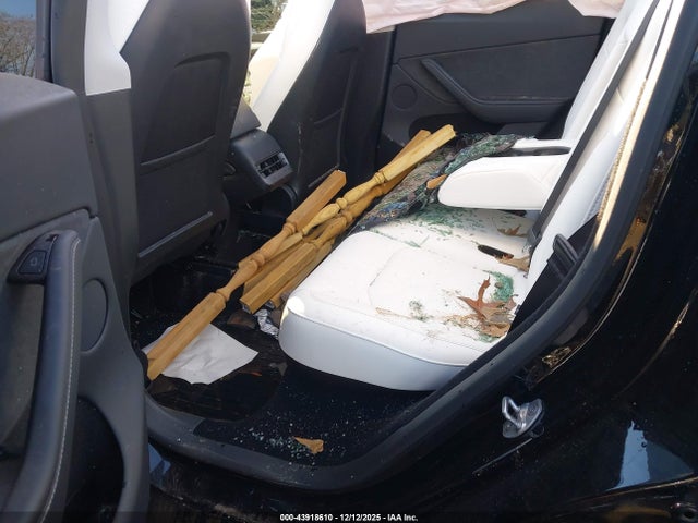 2025 TESLA MODEL Y 7SAYGDED9SA358574 Photo 7