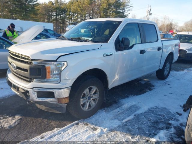 2020 FORD F-150 1FTEW1EP4LFC45028 Photo 1