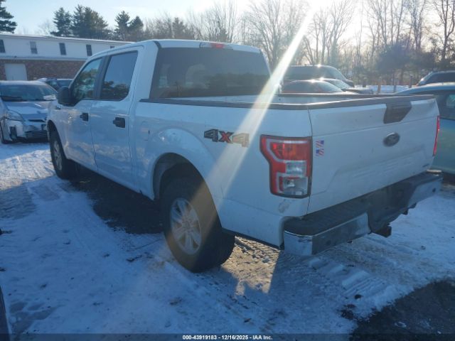 2020 FORD F-150 1FTEW1EP4LFC45028 Photo 2