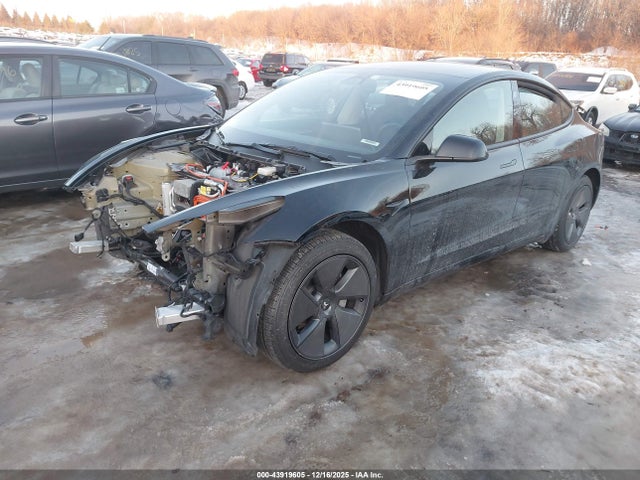 2023 TESLA MODEL 3 5YJ3E1EA7PF555920 Photo 1