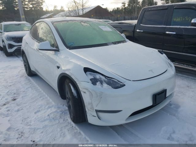 2024 TESLA MODEL Y 7SAYGDEE9RF152077