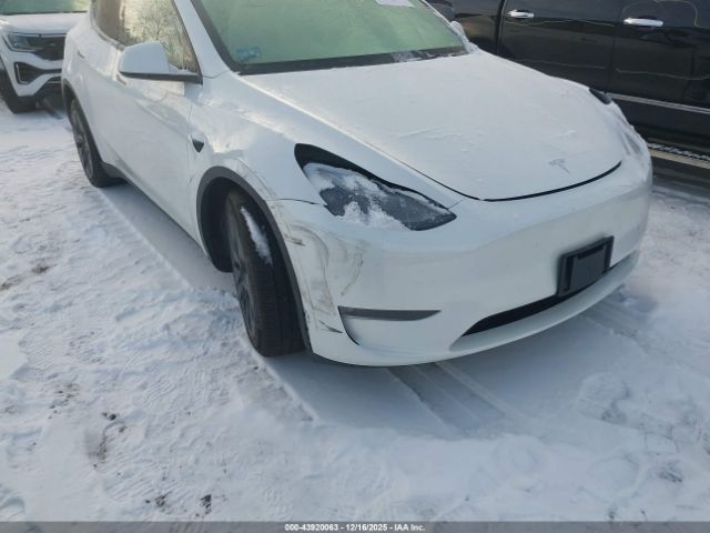2024 TESLA MODEL Y 7SAYGDEE9RF152077 Photo 5