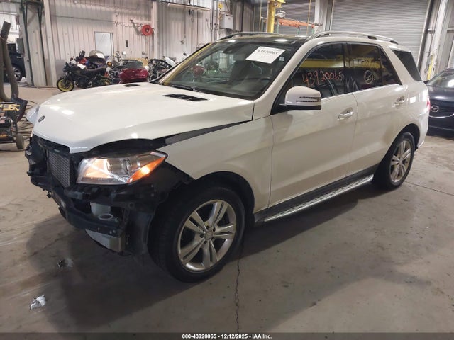 2015 MERCEDES-BENZ ML 250 BLUETEC 4JGDA0EB0FA471735 Photo 1