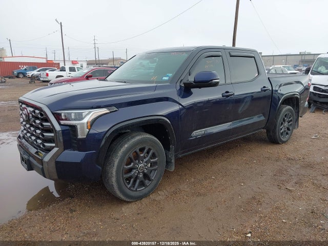Aukcja sprzedaży 2023 Toyota Tundra Platinum, vin: 5TFNA5DB1PX099974, numer aukcji: 43920157