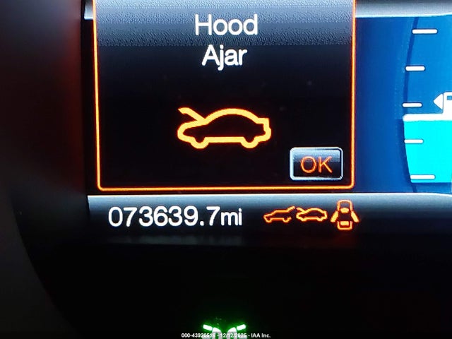 Ford EDGE SEL 2016 2FMPK4J83GBC01173 Image 6