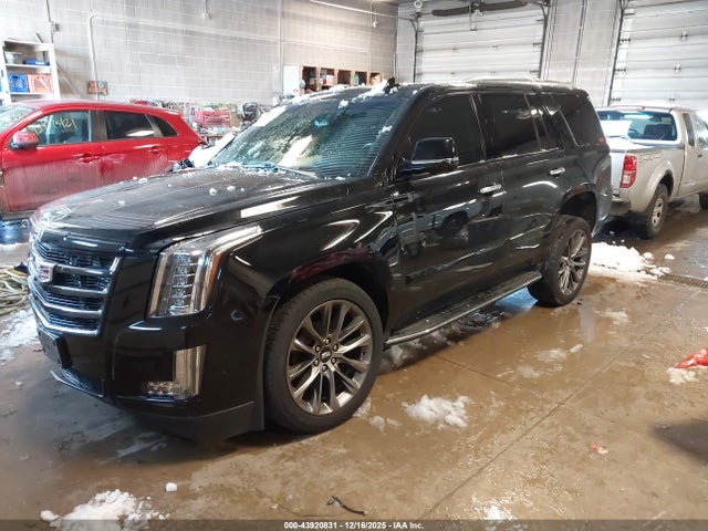 2019 CADILLAC ESCALADE 1GYS4BKJ9KR346135 Photo 1