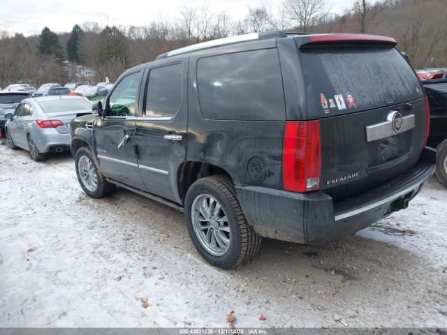 2007 CADILLAC ESCALADE 1GYFK63857R295492 Photo 2