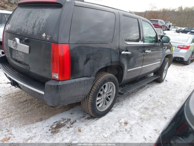 2007 CADILLAC ESCALADE 1GYFK63857R295492 Photo 3