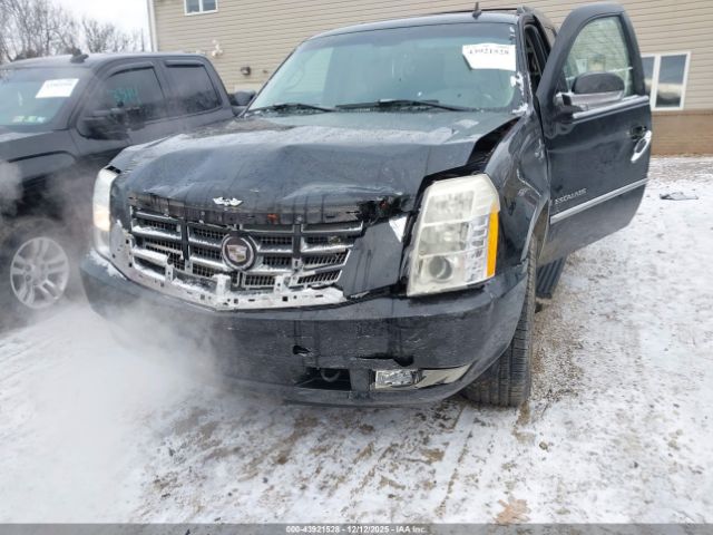 2007 CADILLAC ESCALADE 1GYFK63857R295492 Photo 5