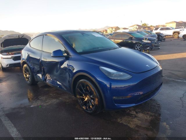 2023 TESLA MODEL Y 7SAYGDEE8PF879286 Photo 0