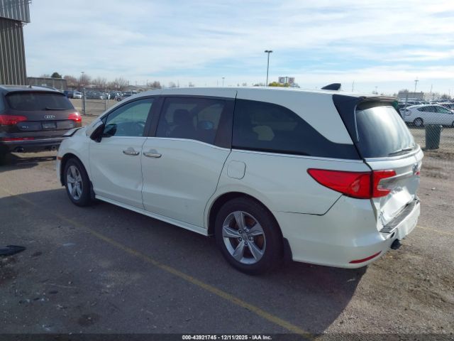 2019 HONDA ODYSSEY 5FNRL6H51KB118600 Photo 2