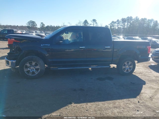 Ford F-150 Xlt 2015 1FTEW1EF1FFB67643 Image 14