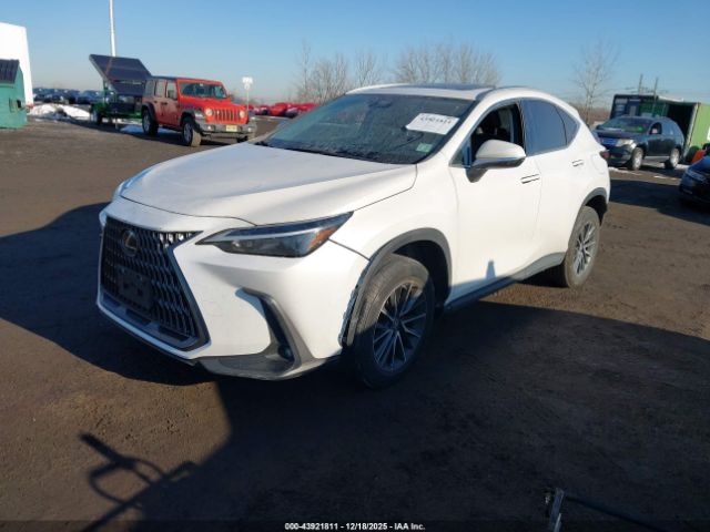 2022 LEXUS NX 350 2T2AGCEZ9NC006168 Photo 1