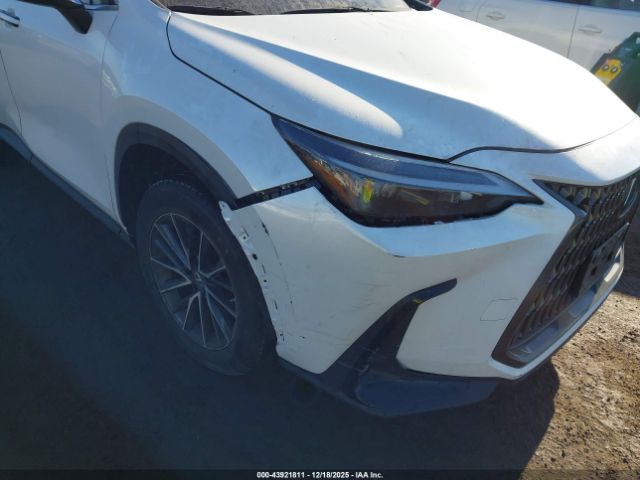 2022 LEXUS NX 350 2T2AGCEZ9NC006168 Photo 5
