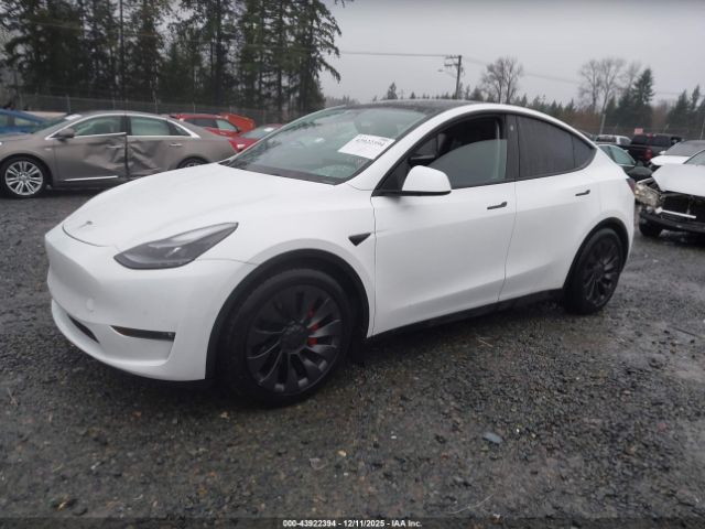 2022 TESLA MODEL Y 7SAYGDEF3NF495518 Photo 1