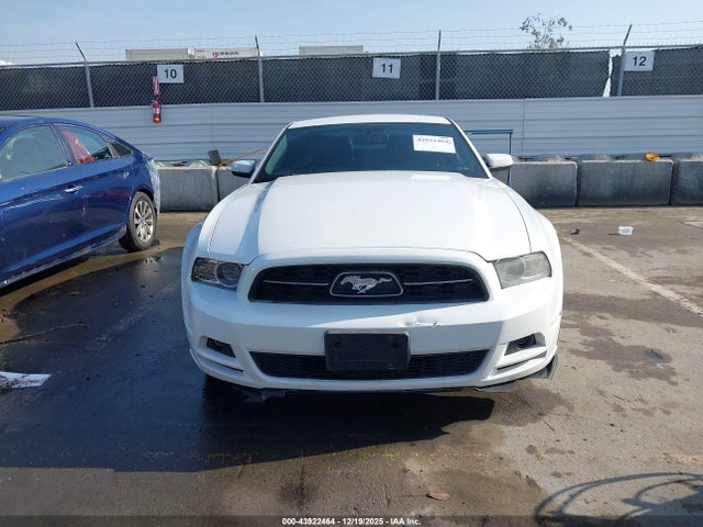 1ZVBP8AM4E5278377 Ford Mustang V6 Premium