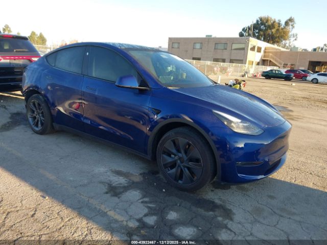 2024 TESLA MODEL Y 7SAYGDED0RF119380