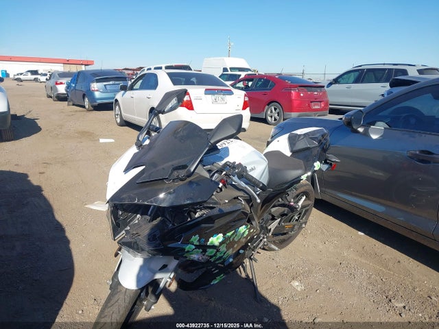 Kawasaki EX500 2025 ML5EXGG17SDA54137 Image 2